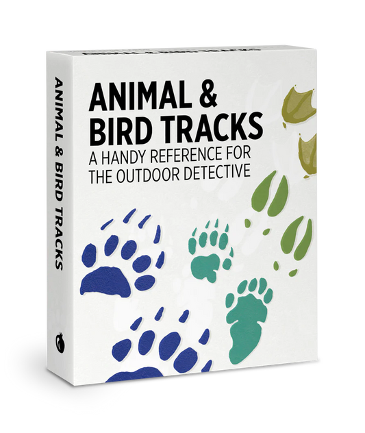 Knowledge Cards- Animal & Bird Tracks