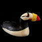 Fossilized Ivory- L. Mayac, Horned Puffin, Lg