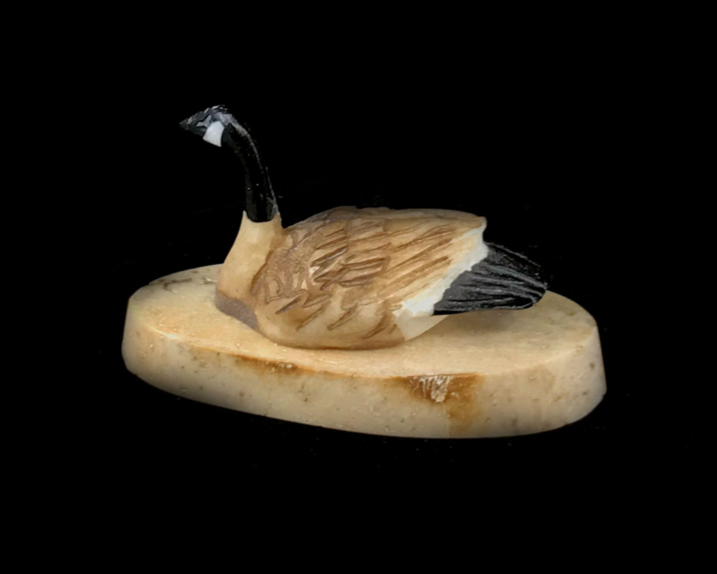 Ivory - Savage; Canada Goose on Bone Base