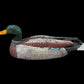 Ivory- T. Mayac Jr, Scrimshaw, Mallard Duck, 3"
