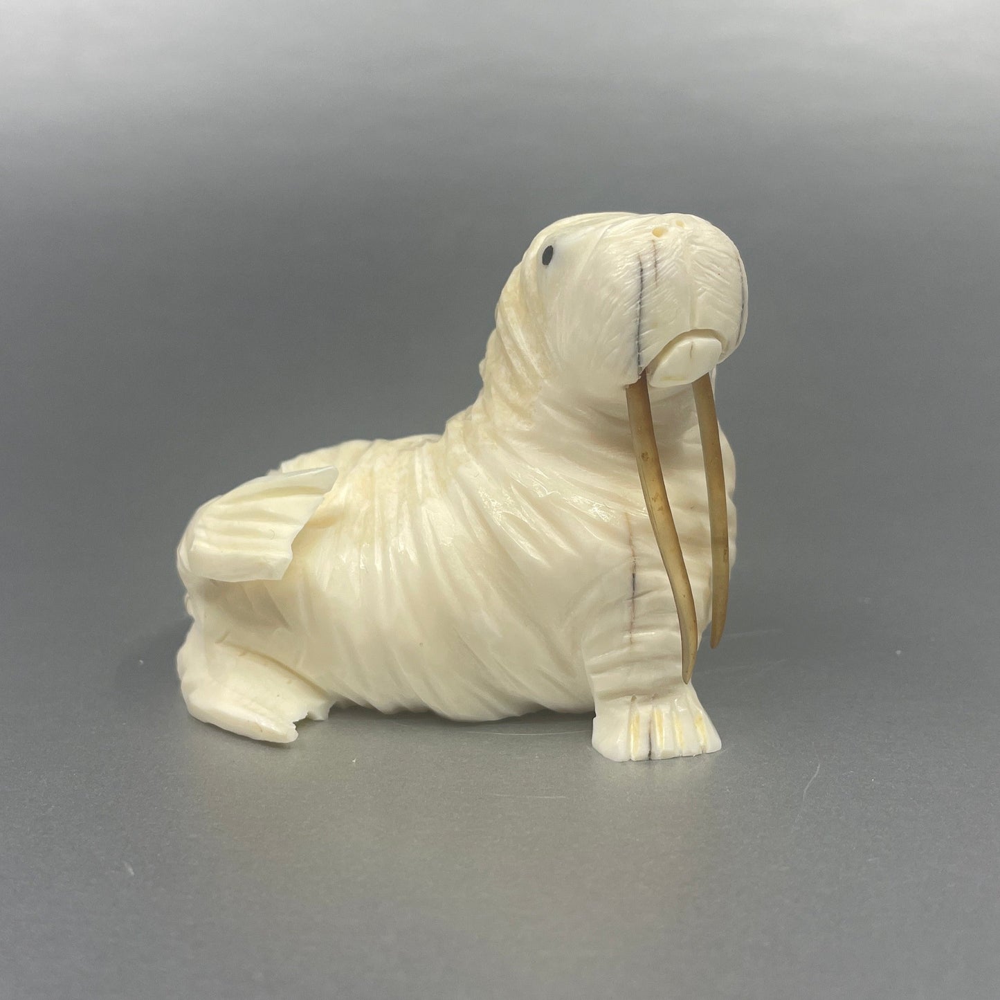 Ivory - D. Pungowiyi; Walrus