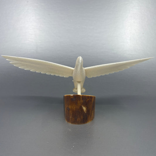 Ivory - Pungowiyi ; Eagle Wing Opened 8"