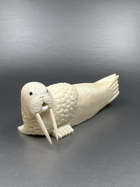 Ivory- H. Miklahook Jr, Baleen, Lounging Walrus