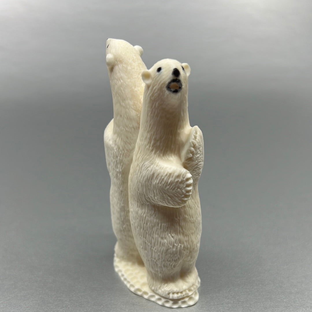 Ivory- M. Kakoona, Standing Polar Bears, Variety
