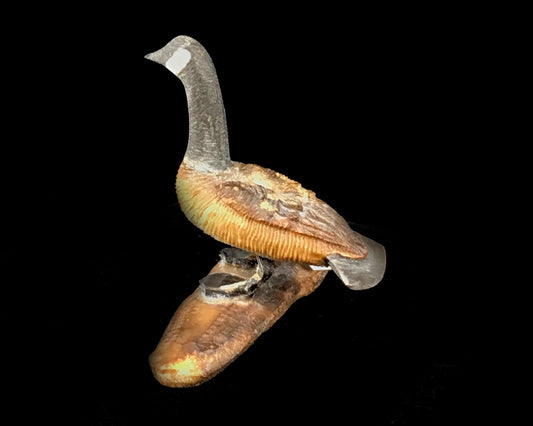 Ivory- B. Aningayou, Canada Goose on log