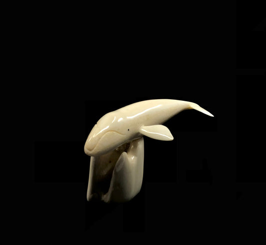 Ivory- Apangalook; Bowhead Whale, Tusk, Baleen