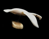 Ivory - Baleen & Fossil Base, Flying Cormorant