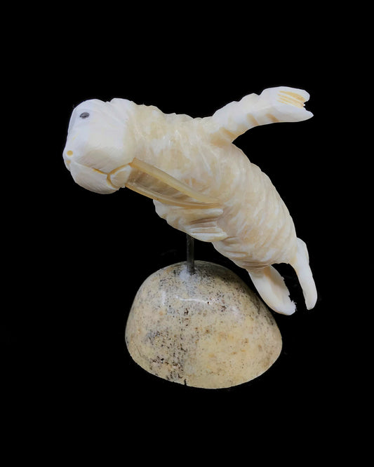Ivory- D. Pungowiyi, "Dancing Walrus", Whisker tusks