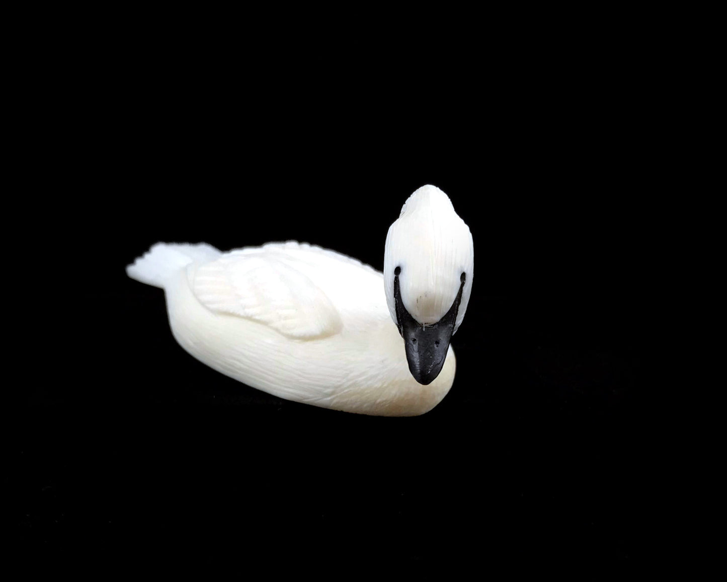 Ivory- F. Mayac, Trumpet Swan, Baleen Inlay