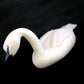 Ivory- F. Mayac, Trumpet Swan, Baleen Inlay