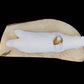Ivory- M. Toolie, Shell & Bone, Otter w Shell on Jawbone