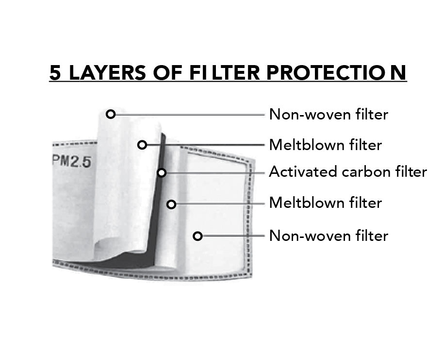 Face Mask- Filter, PM2.5, 10- pack, Kids
