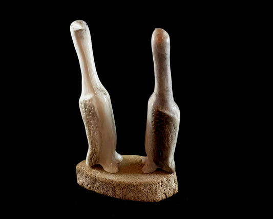 Bone- S. Oozeva, Fossilized Bone Base, Cormorants Face to Face