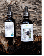 Chaga Extract 2 oz Dropper Bottle By Alaska Wild Harvest