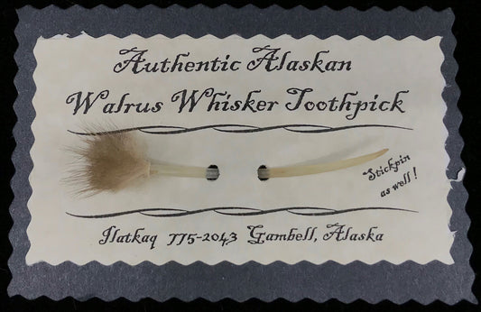 Toothpick- B. Apangalook: Walrus Whisker