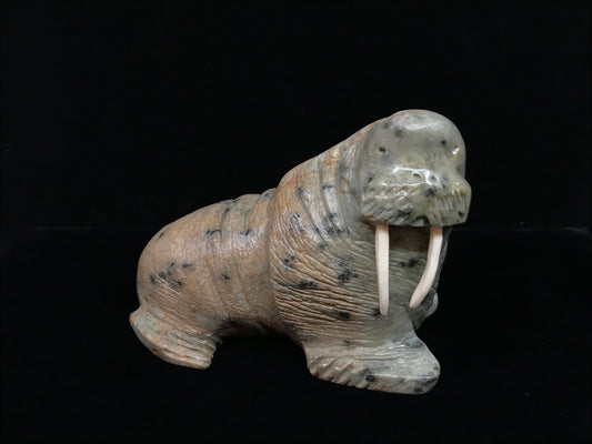 Soapstone- E. Tetpon III: Walrus, Large, Ivory Tusks